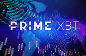 Comprehensive Guide on PrimeXBT App Trading